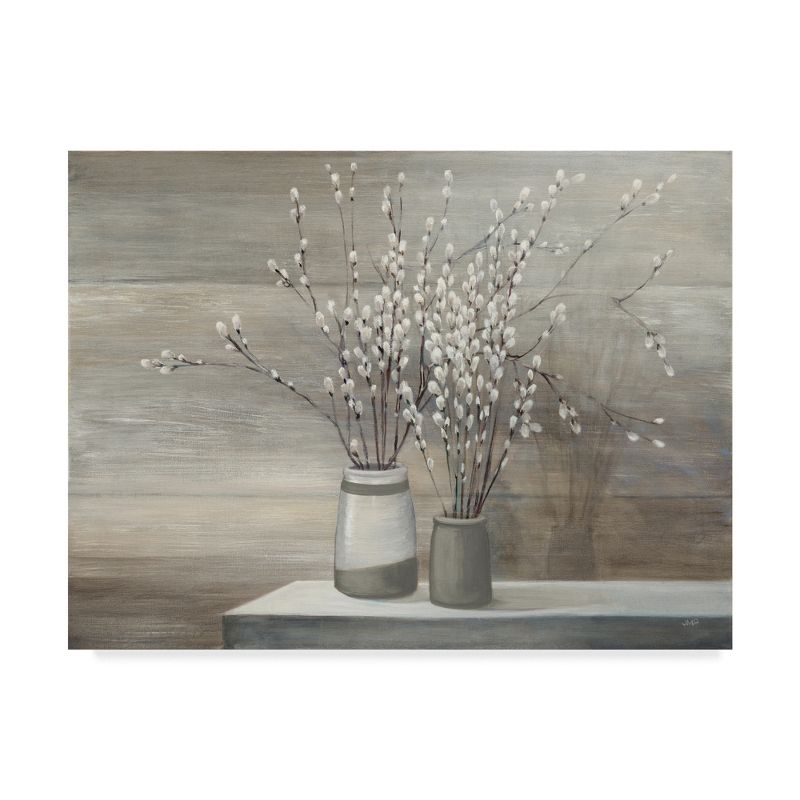 Trademark Fine Art -Julia Purinton 'Pussy Willow Still Life Gray Pots' Canvas Art - 35''x47''