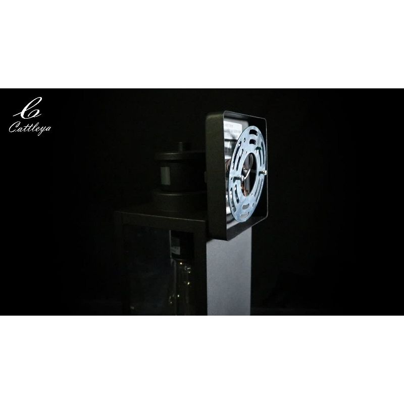 C Cattleya 2-Pack Matte Black Motion Sensor and Dusk to Dawn Outdoor Wall Lantern