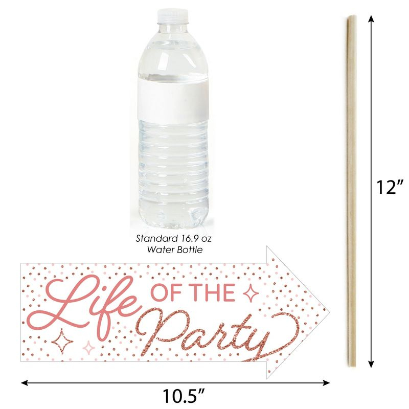 Big Dot of Happiness Funny Pink Rose Gold Birthday - Happy Birthday Party Photo Booth Props Kit - 10 Piece