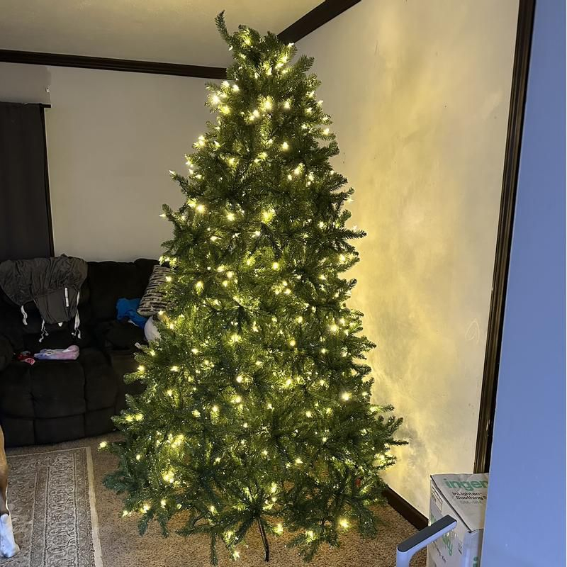 National Tree Company 7.5' Pre-lit Full Dunhill Shimmer Fir Artificial Christmas Tree with Dual Color Lights: Hinged Branches