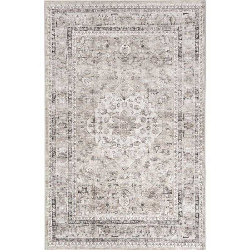 Nuloom Davi Faded Spill Proof Treated Pet Friendly Premium Machine Washable Area Rug, 8' x 10', Stone