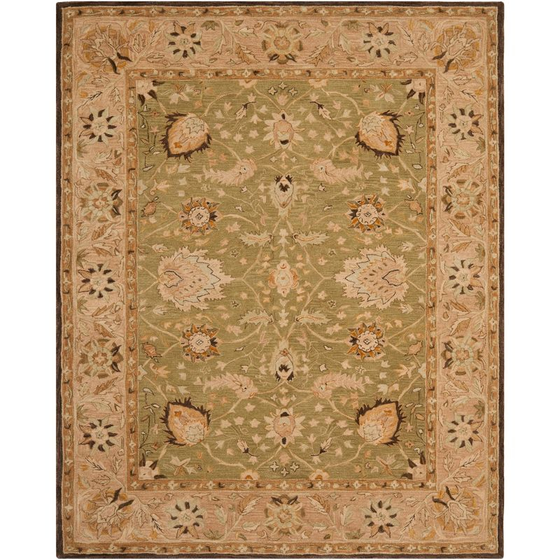 Anatolia AN512 Hand Tufted Indoor Area Rug - Sage/Beige - 8'x10' - Safavieh