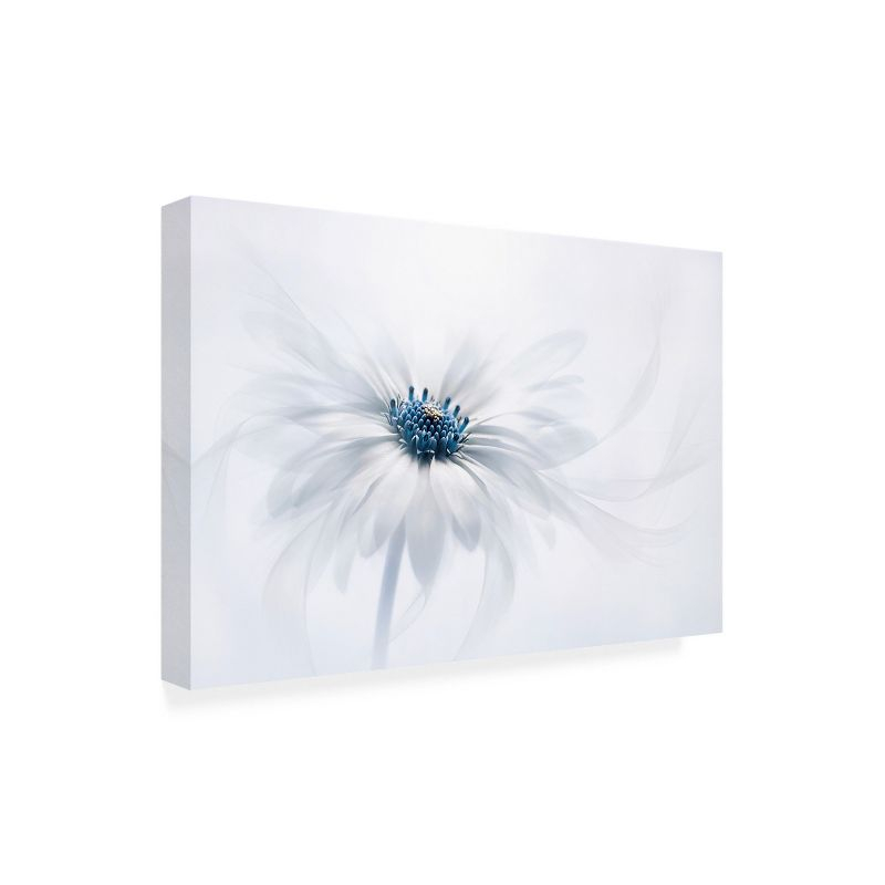 Trademark Fine Art - Jacky Parker 'Serenity' Outdoor All-Weather Wall Decor - 30x47