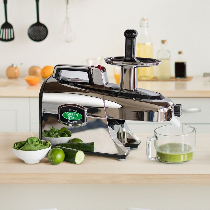 Tribest Greenstar Elite Jumbo Twin Gear Slow Masticating Juicer – Silver
