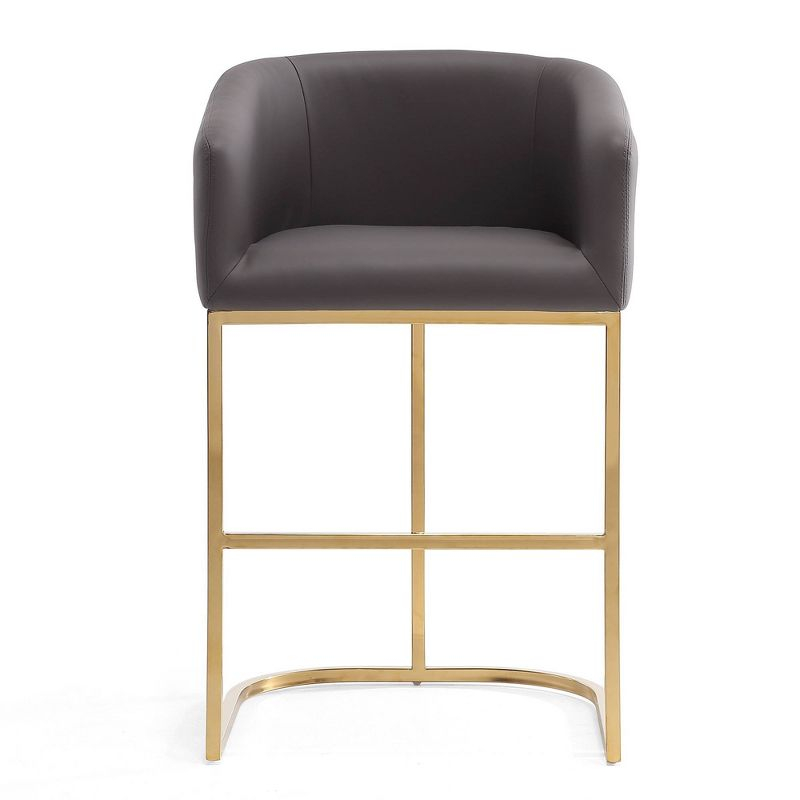 Louvre Upholstered Stainless Steel Barstool Gray - Manhattan Comfort: Faux Leather, Low Back, Armrest, Fixed Height