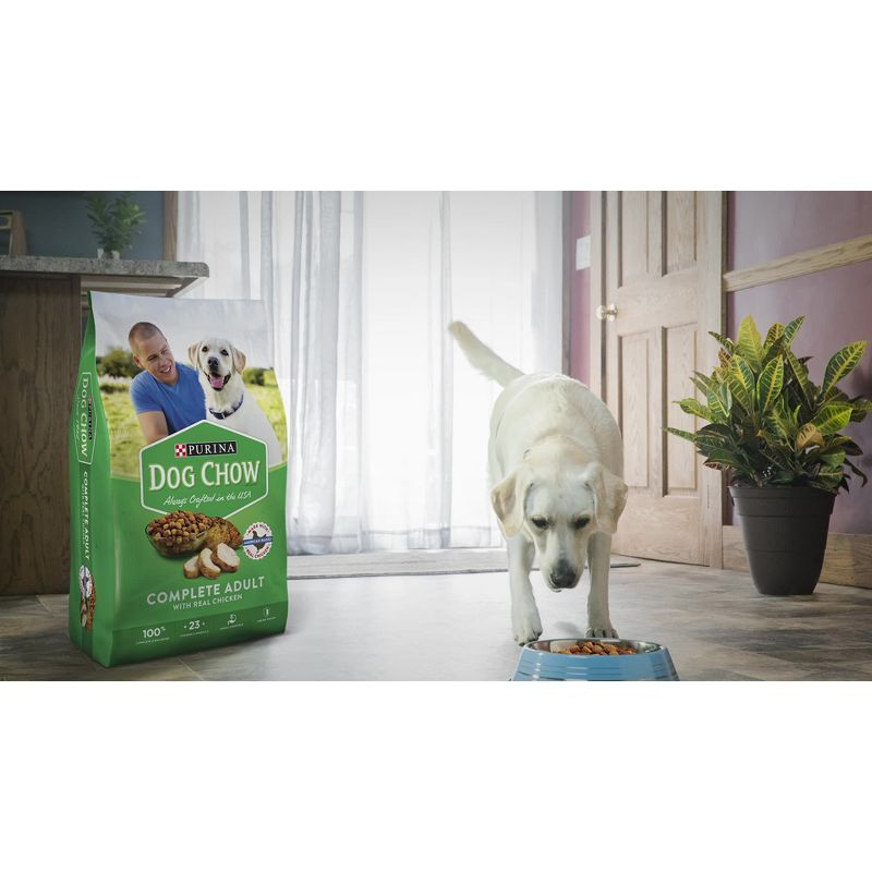 Purina Dog Chow with Real Beef Adult Complete & Balanced Dry Dog Food - 18.5lbs
