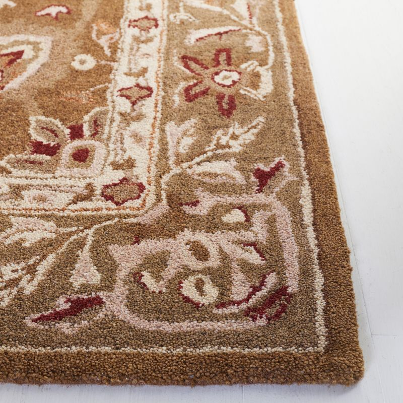 Anatolia AN512 Hand Tufted Indoor Accent Rug - Brown/Green - 3'x5' - Safavieh