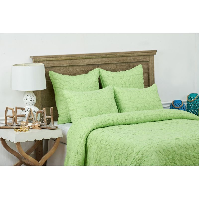 C&F Home 20" x 26" Mara Green Cotton Standard Sham - Machine Washable