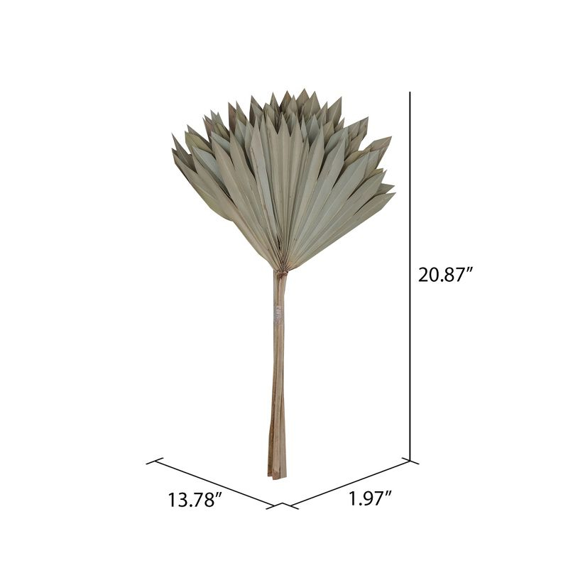 Vickerman Natural Botanicals 20" Natural Palm Sun Stem. Includes 12 Pieces per Bunch.