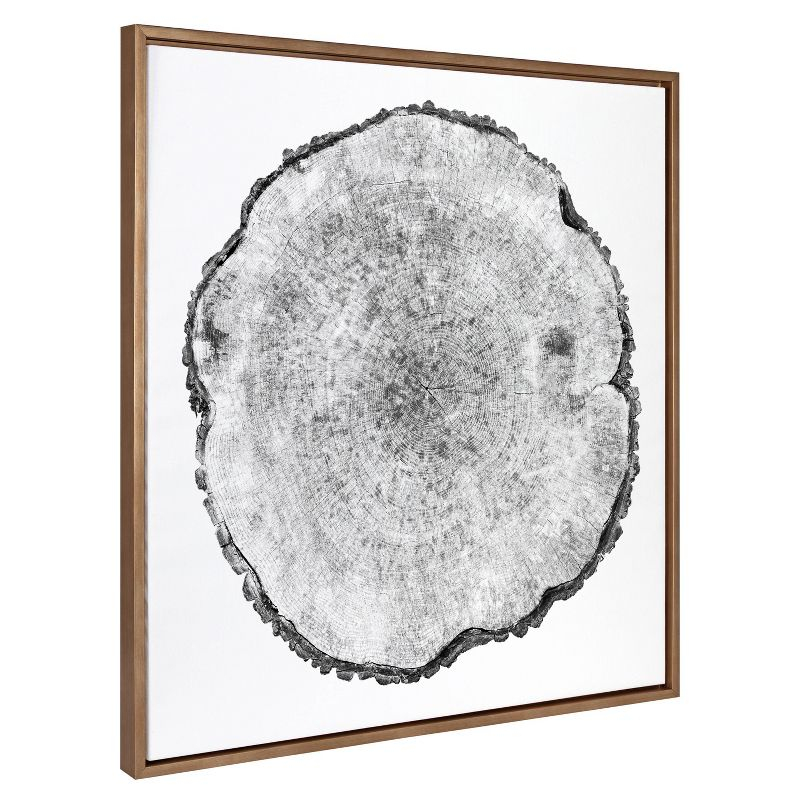 30" x 30" Sylvie Tree Rings Framed Wall Canvas by Emiko and Mark Franzen: Modern Botanical Art - Kate & Laurel All Things Decor