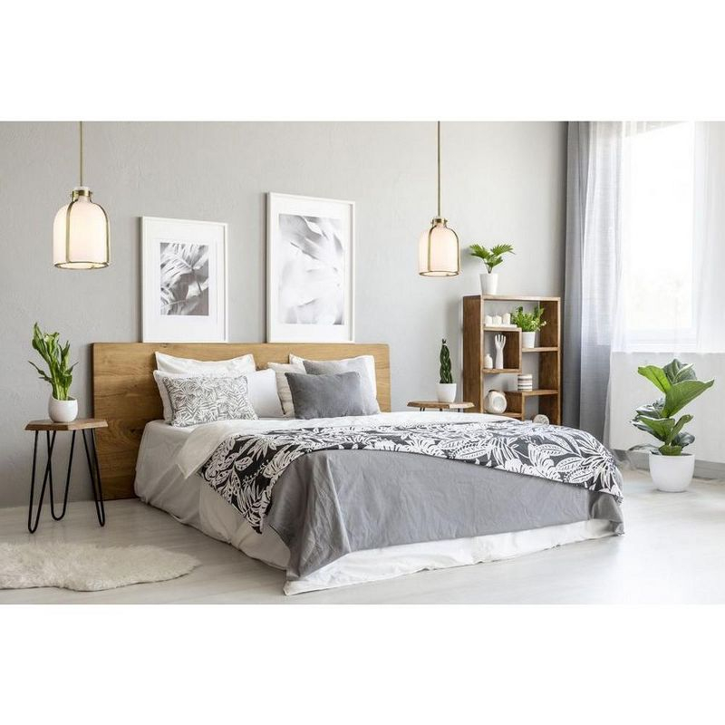 Z-Lite Pearson 1 - Light Chandelier in  Rubbed Brass