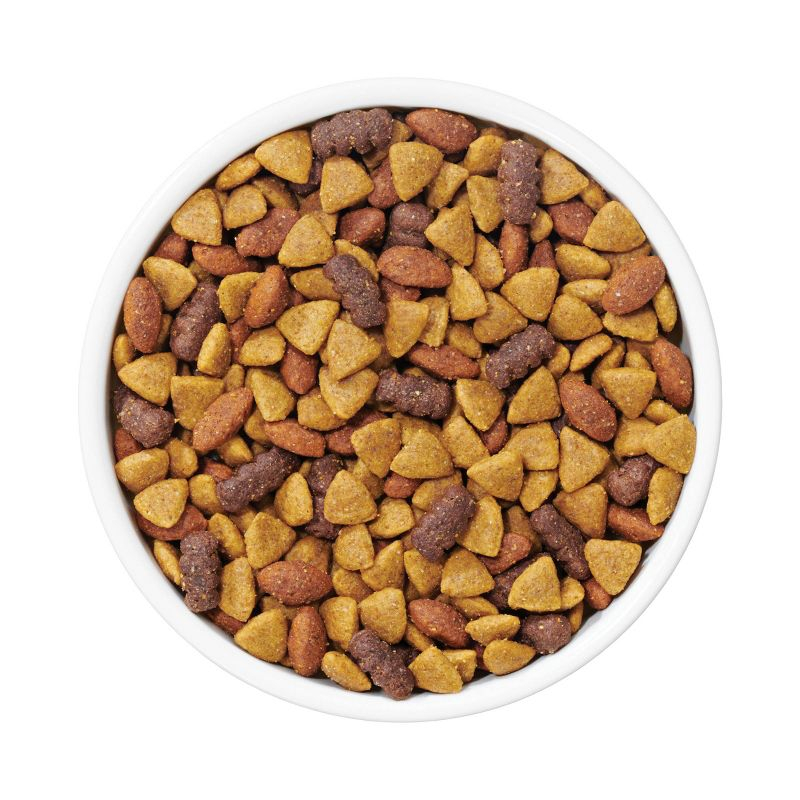 Purina Dog Chow with Real Beef Adult Complete & Balanced Dry Dog Food - 18.5lbs