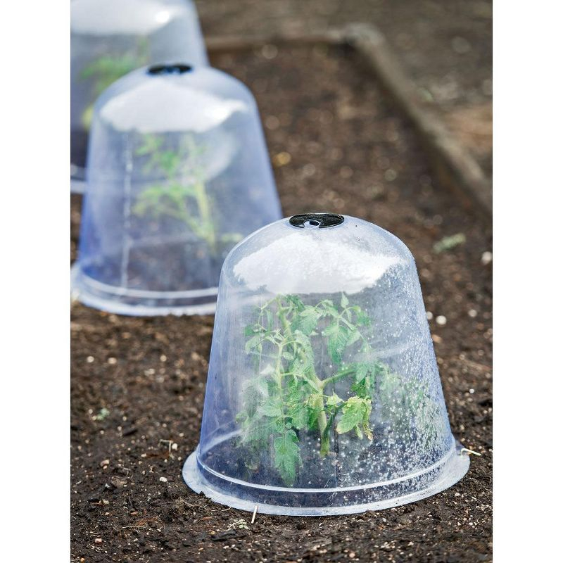 Gardeners Supply Company Large Garden Cloche Plant Protector | Clear Sturdy PVC Plants Bell Dome Heat & Freeze Cover with Top Hole Ventilation for