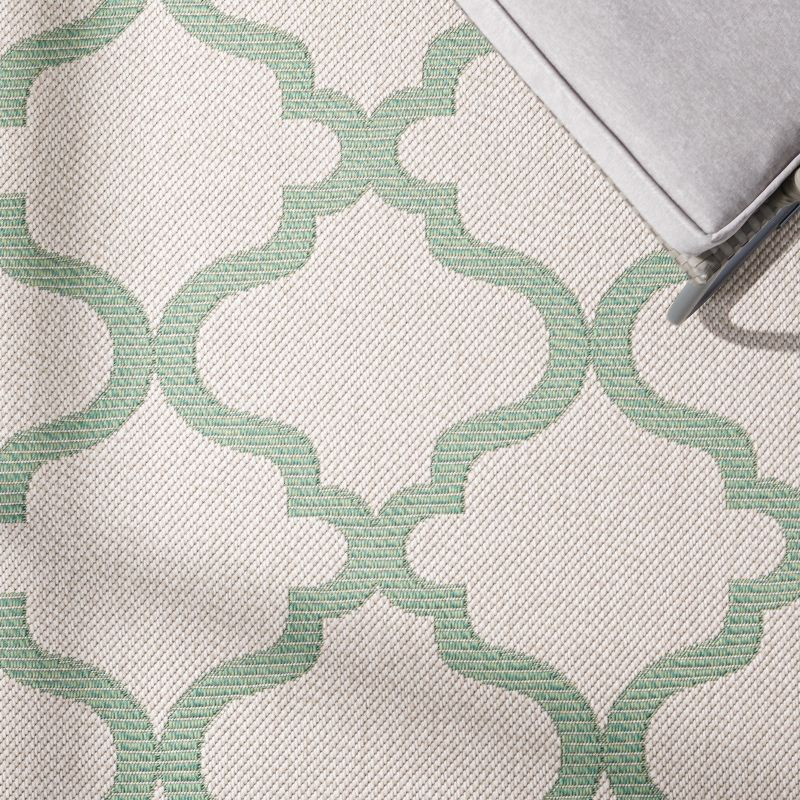 Bermuda BMU810 Power Loomed Indoor/Outdoor Machine Washable Area Rug - Beige/Green - 5'3"x7'6" - Safavieh