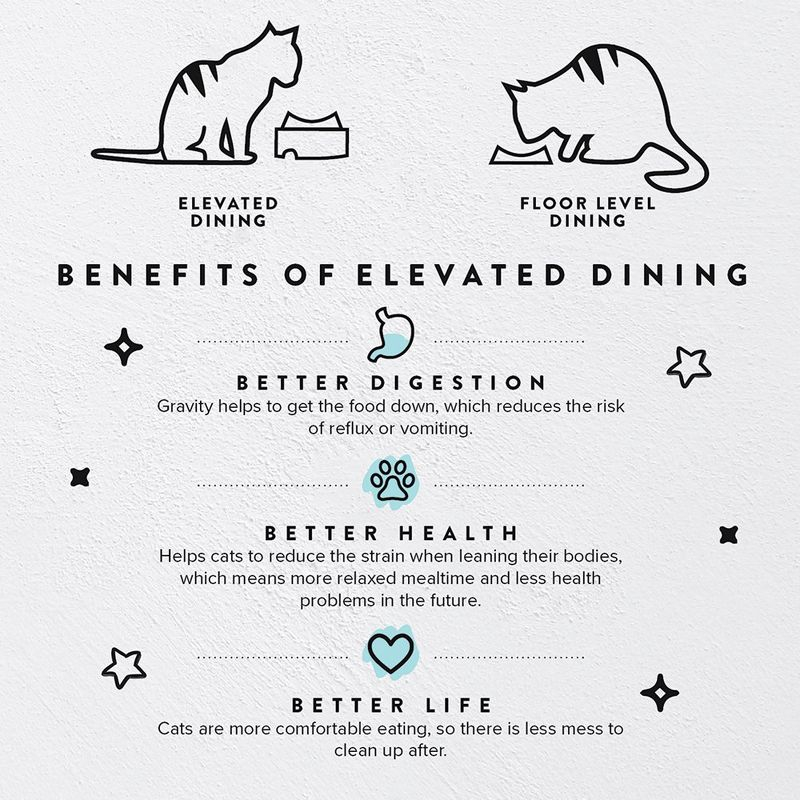 CatGuru Food Table for Cat Bowl, Marshmallow