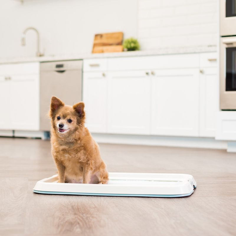 IRIS USA, Inc. Polypropylene Plastic Pet Bed