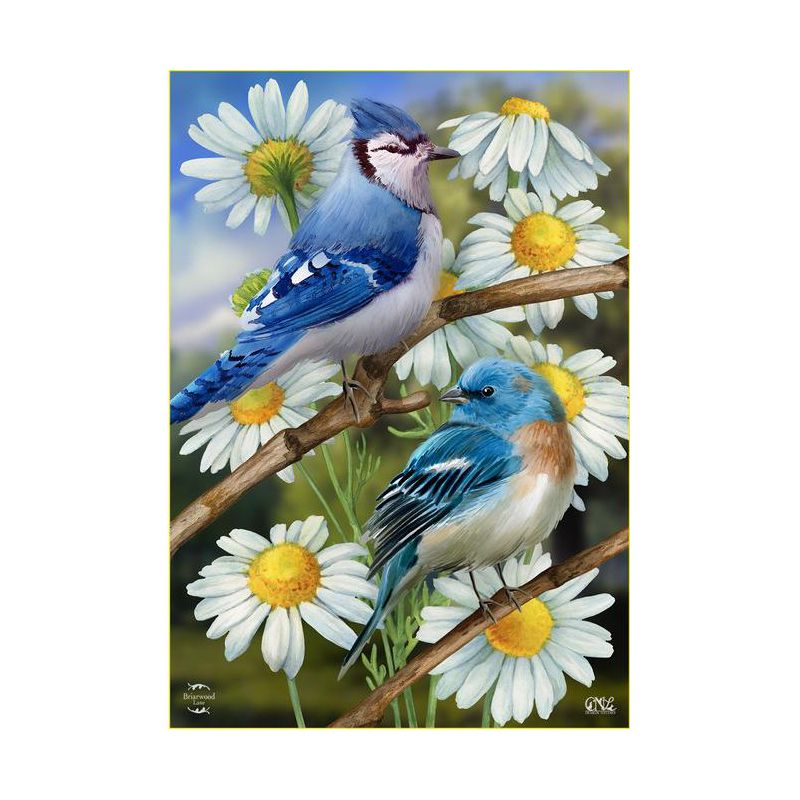 Briarwood Lane Spring House Flag 40x28 For Outdoor Birds and Daisies For Spring House Flag