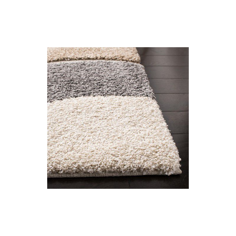 Florida Shag SG475 Power Loomed Indoor Area Rug - Ivory/Grey - 8'x10' - Safavieh