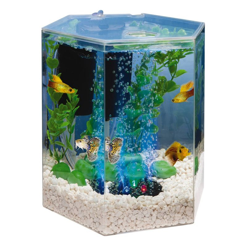 Tetra Bubbling LED Aquarium Kit 1gal Hexagon Shaped with Color-Changing Light Disc Aquarium Decor