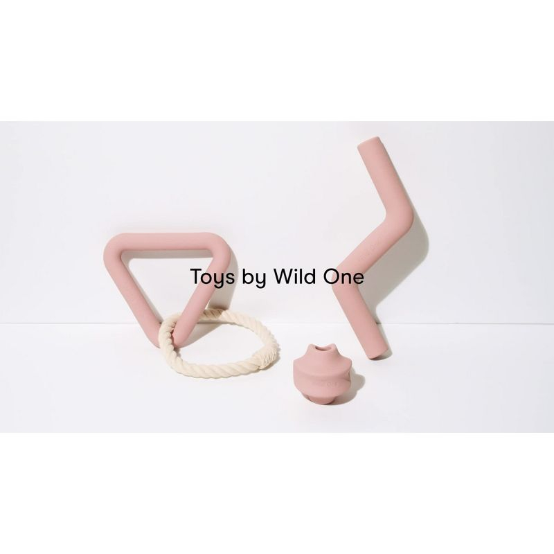 Wild One Bolt Bite Chew & Treat Interactive Dog Toy - Pink