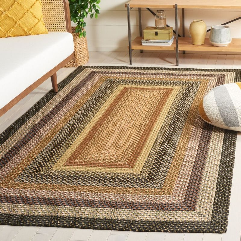 Braided BRD308 Hand Woven Area Rug - Multi - 6'x9' - Safavieh.