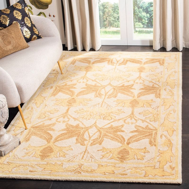 Anatolia AN541 Hand Tufted Indoor Area Rug - Beige/Gold - 6'x9' - Safavieh