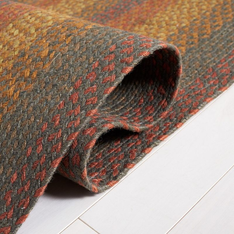 Braided BRD652 Flat Weave Indoor Area Rug - Green/Rust - 6'x6' - Safavieh
