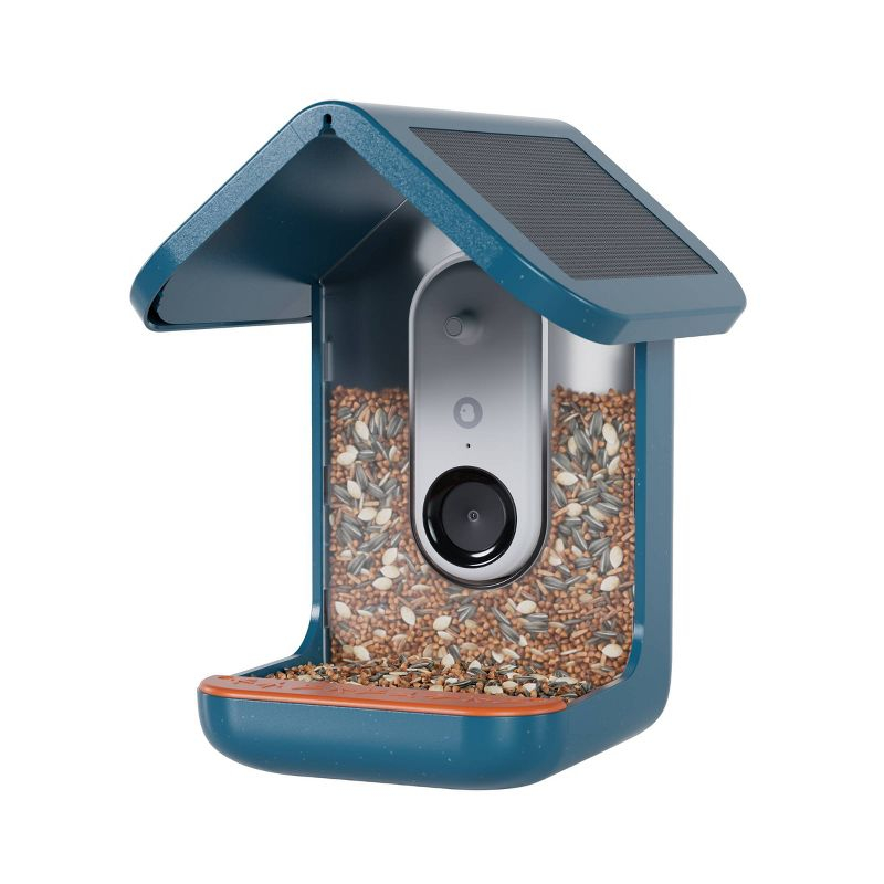 Bird Buddy Smart Bird Feeder with Camera and Solar Roof: Weather-Resistant, Hanging or Pole Mount