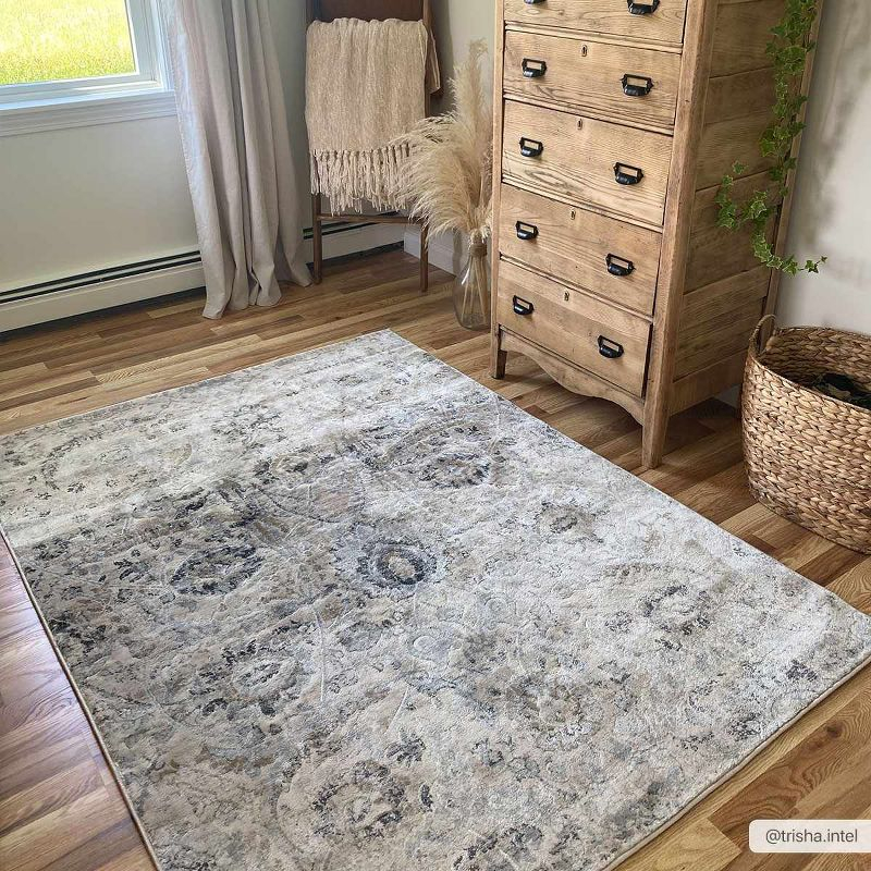 Hauteloom Rectangle Area Rug  Charcoal
