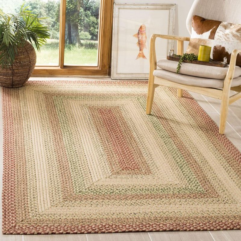 Braided BRD303 Hand Woven Area Rug - Rust/Multi - 5'x8' - Safavieh.