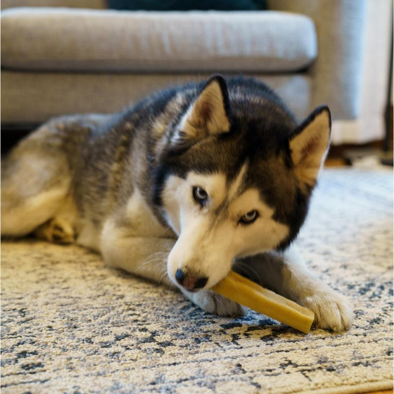 Mighty Paw Yak Cheese Chews