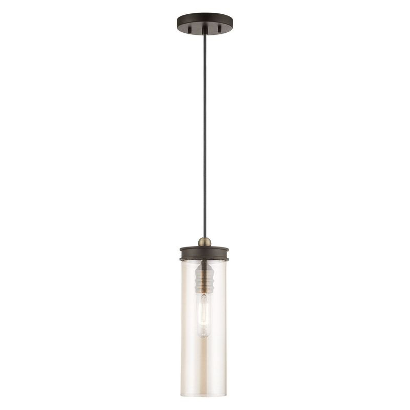 Livex Lighting Art Glass 1 - Light Pendant in  Bronze