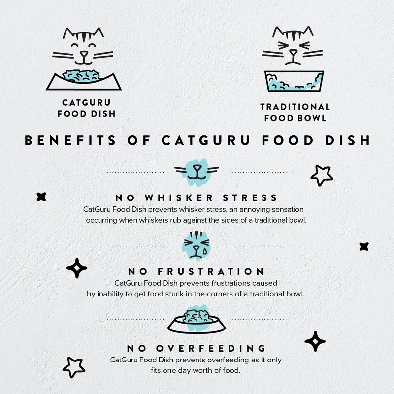 CatGuru Cat Bowls, Set Of Two, Stainless Stel
