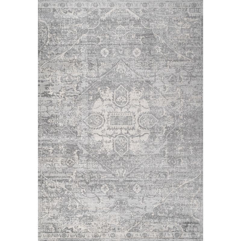 4' X 6' Modern Persian Vintage Medallion Area Rug, Gray - JONATHAN Y