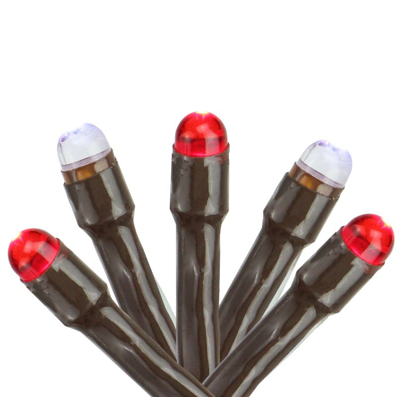 Northlight Seasonal 2' x 8' Red and White Micro LED Net Style Tree Trunk Christmas Lights Brown Wire