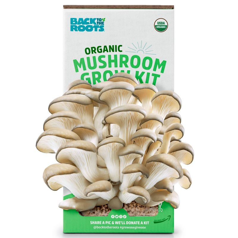Back to the Roots  Organic Mushroom Grow Kit