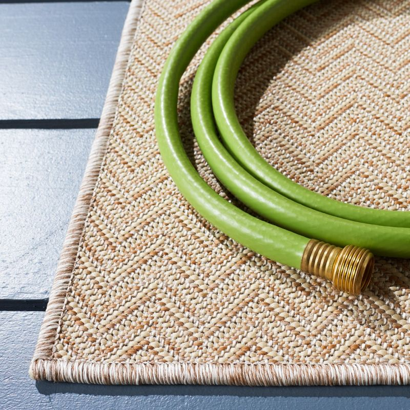 Hampton HTN233 Power Loomed Indoor/Outdoor Area Rug - Natural - 6'5"x9'6" - Safavieh.