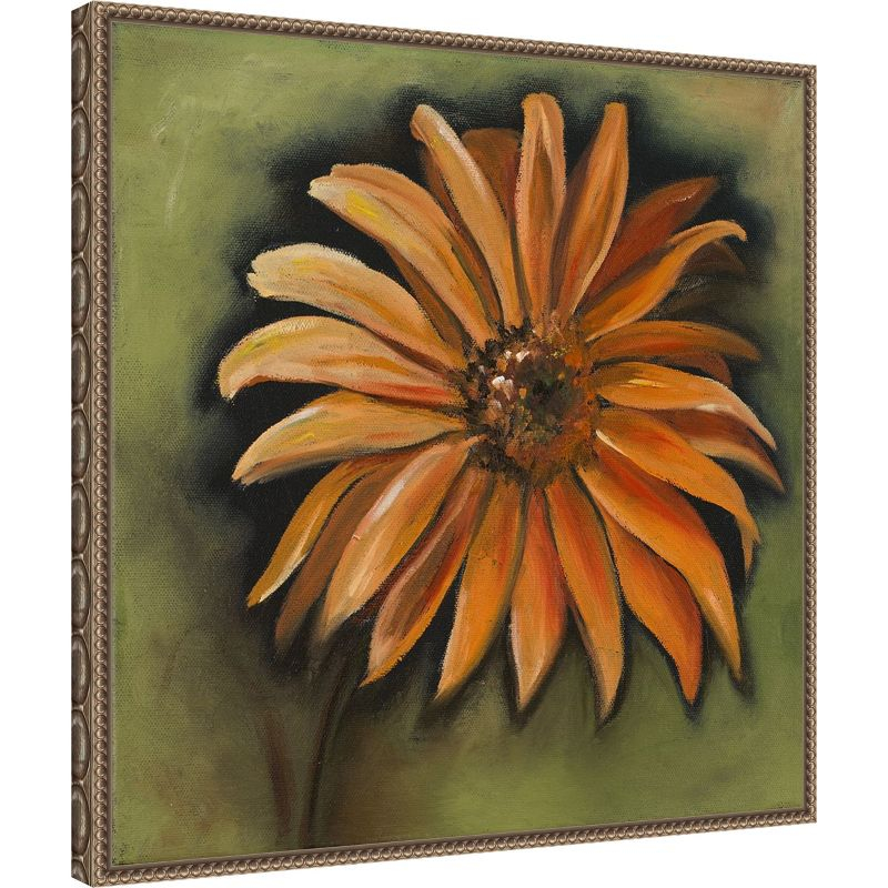 Amanti Art Daisy Collections III by Nelly Arenas Canvas Wall Art Print Framed 22 x 22-in.