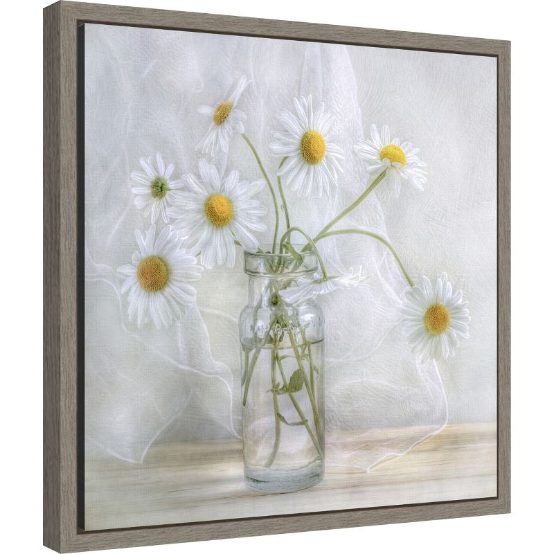Amanti Art Daisies by Mandy Disher Canvas Wall Art Print Framed 16 x 16-in.