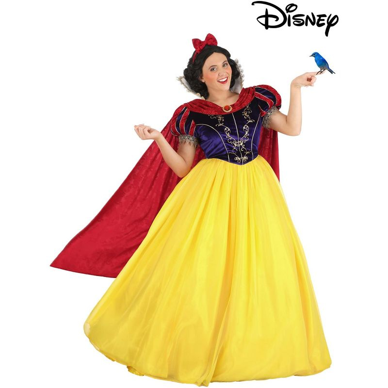 HalloweenCostumes.com L  Women  Adult Premium Snow White Costume, Multicolored