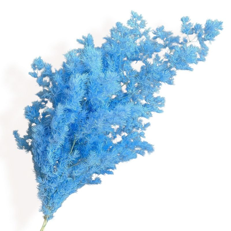 Alilang Decorative Dried Fine Leaf Stems for Home Decoration and Floral Arrangements, 17.7 Inches - Light Blue
