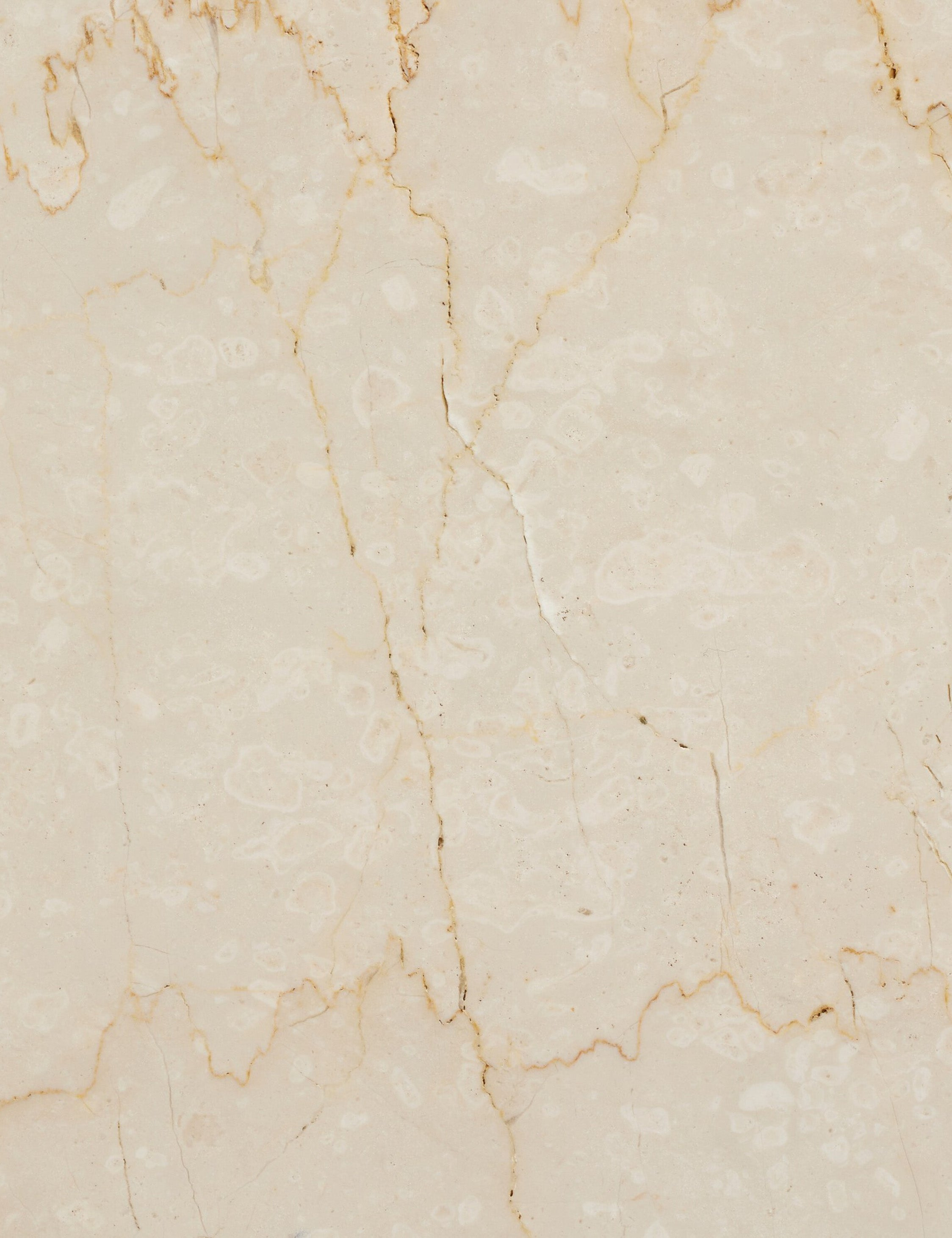 Mariano Coffee Table - Cream Marble / Large