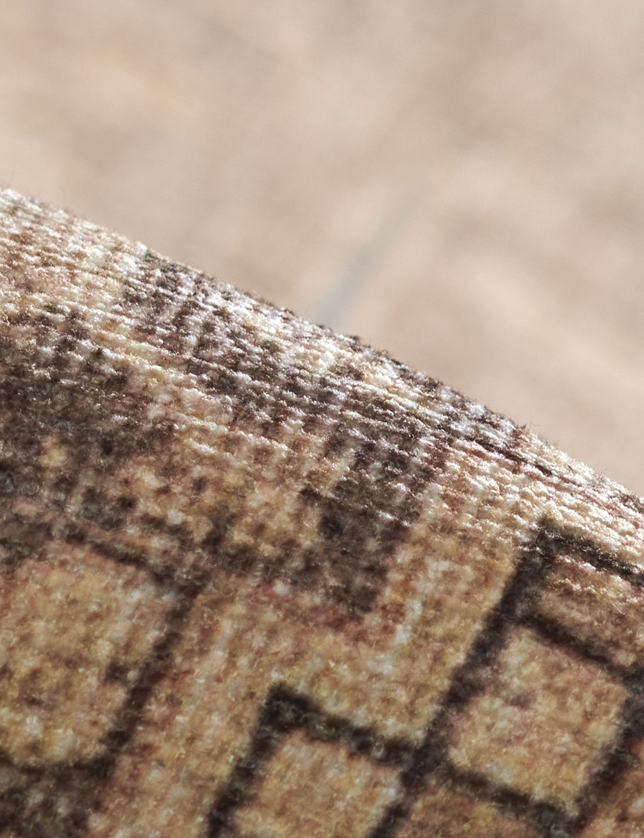 Akins Rug - 10' x 14'