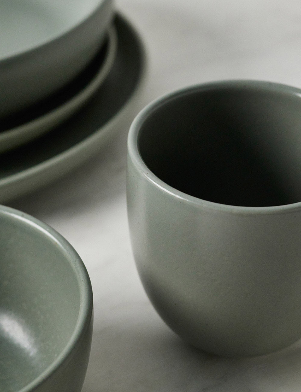 Pacifica Stoneware Dinnerware by Casafina - Artichoke / 5-Piece Set