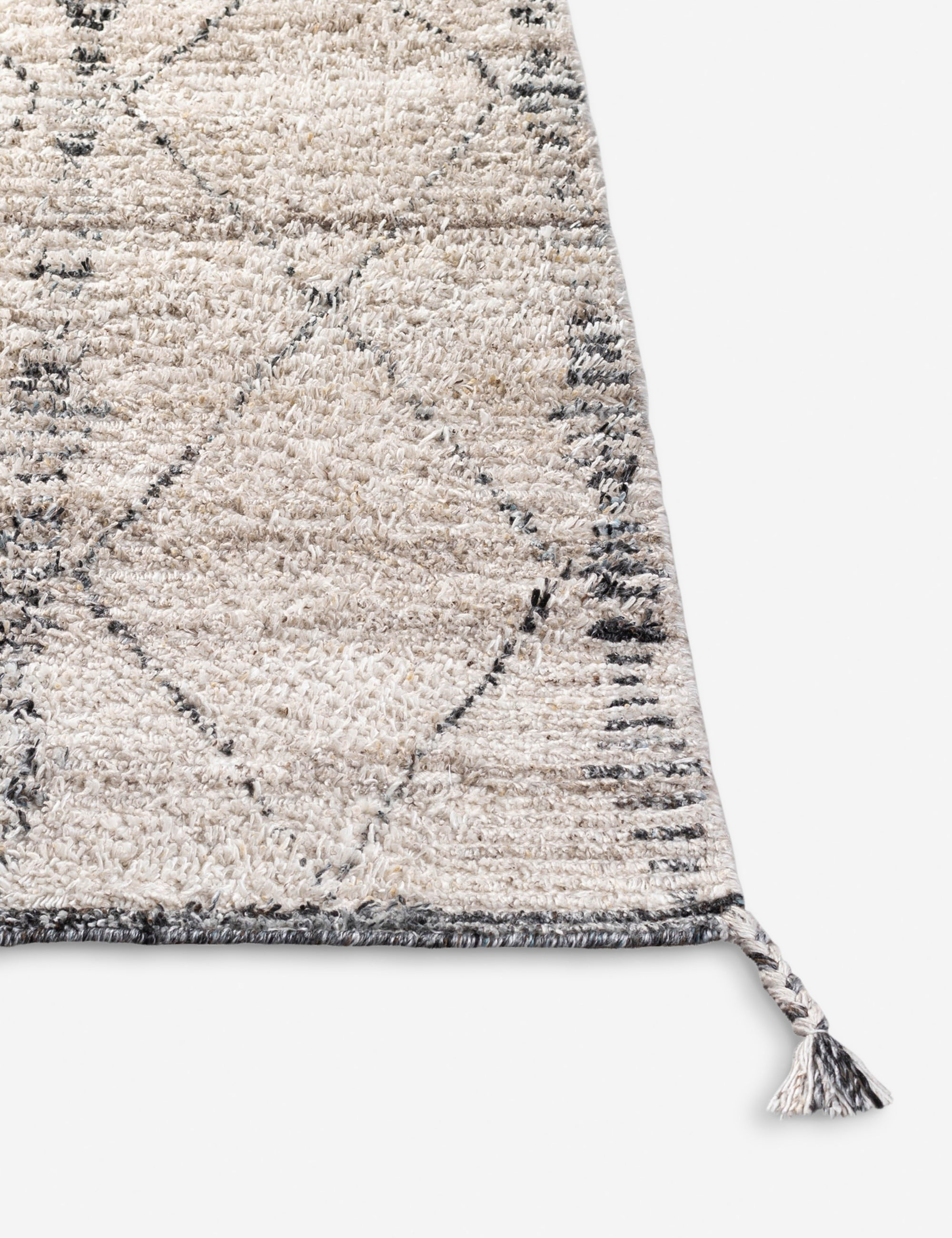 Risa Indoor / Outdoor Rug - 2' x 3'