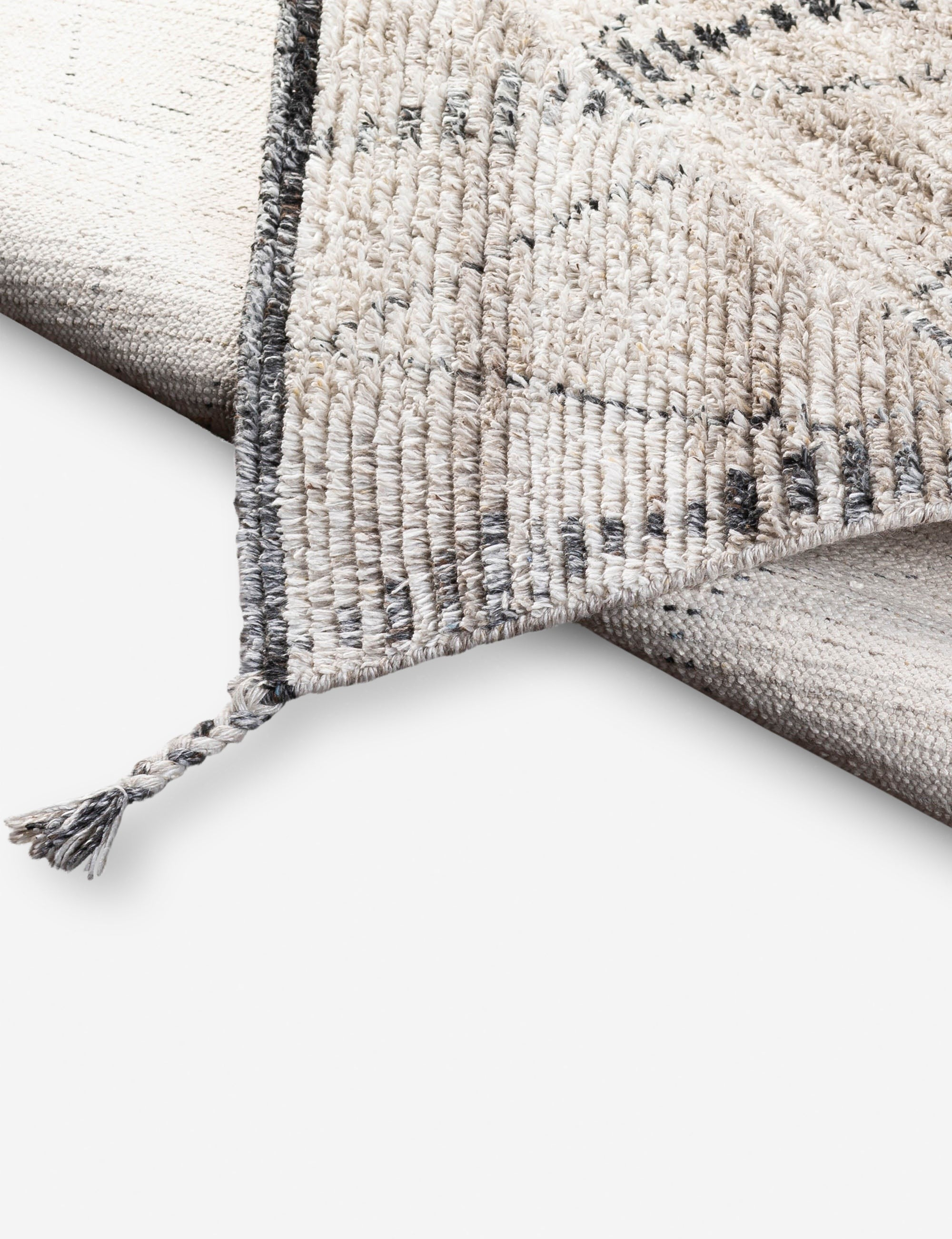 Risa Indoor / Outdoor Rug - 2' x 3'