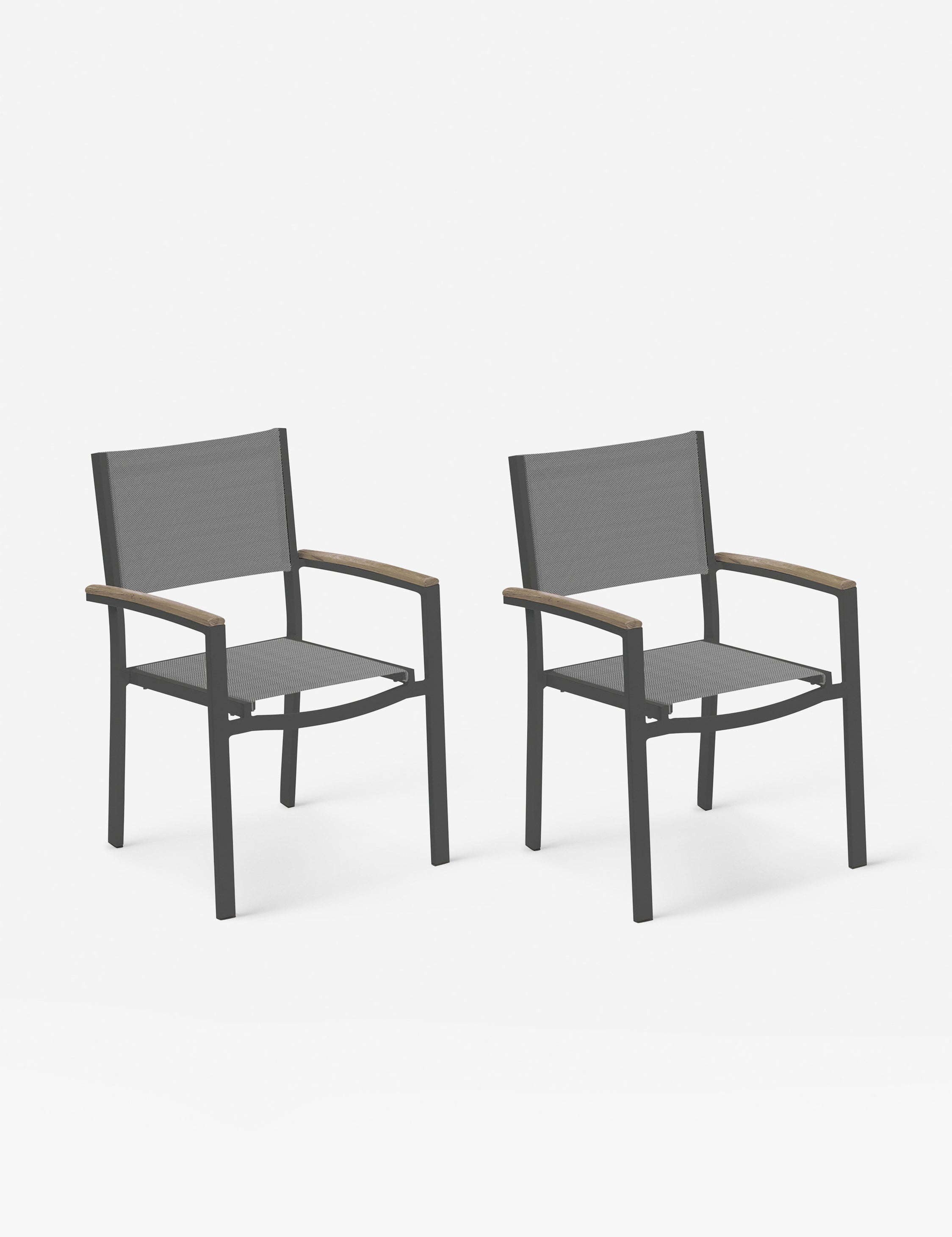 Hermes Indoor / Outdoor Dining Chair (Set of 2) - Gray and Carbon