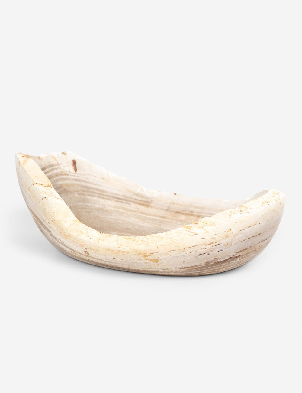 Noki Petrified Wood Bowl