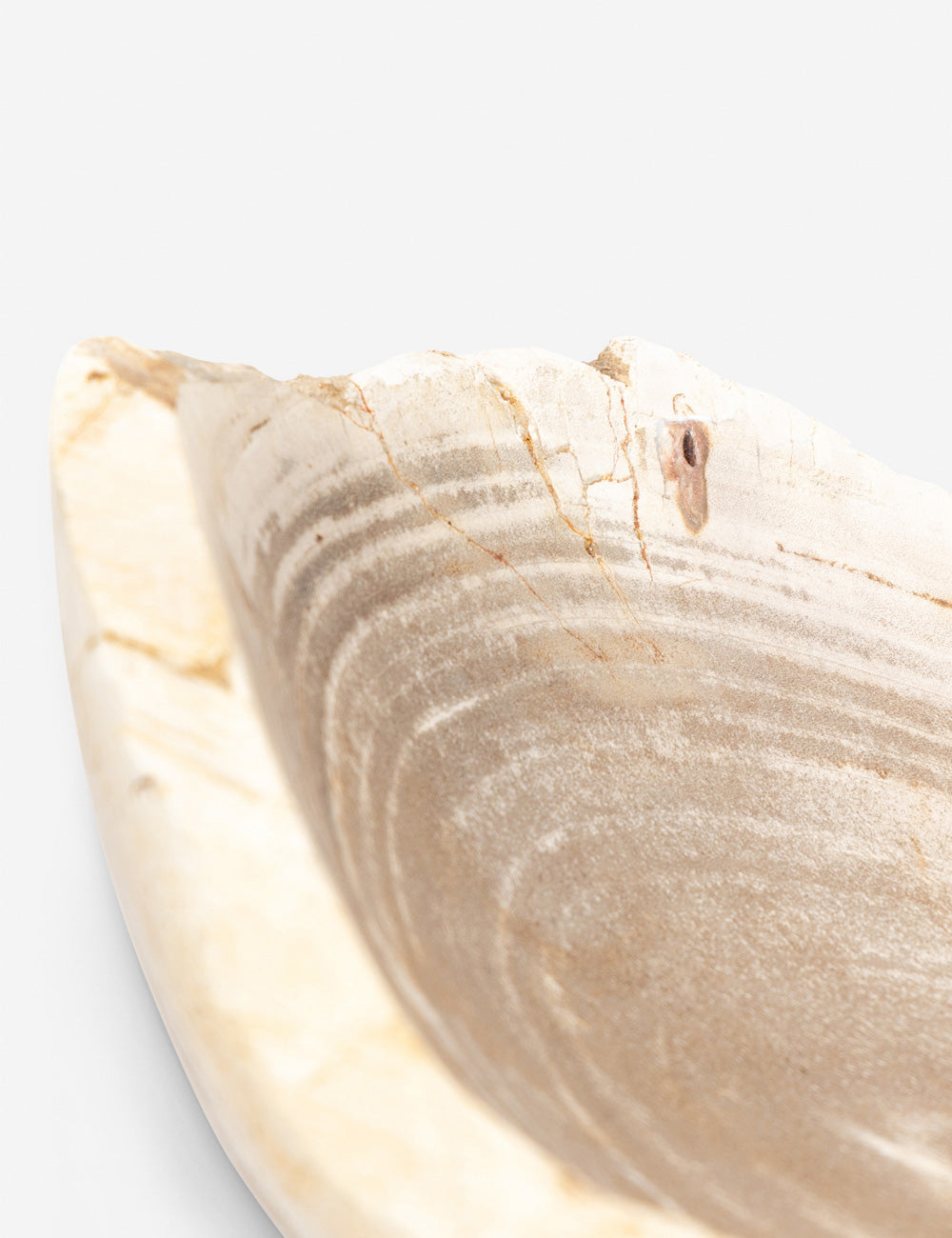 Noki Petrified Wood Bowl