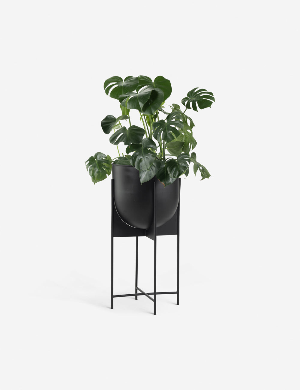 Wynn Planter